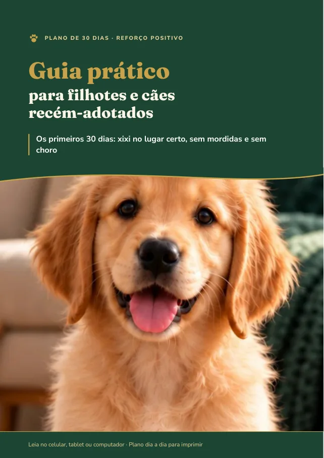 Capa do e-book