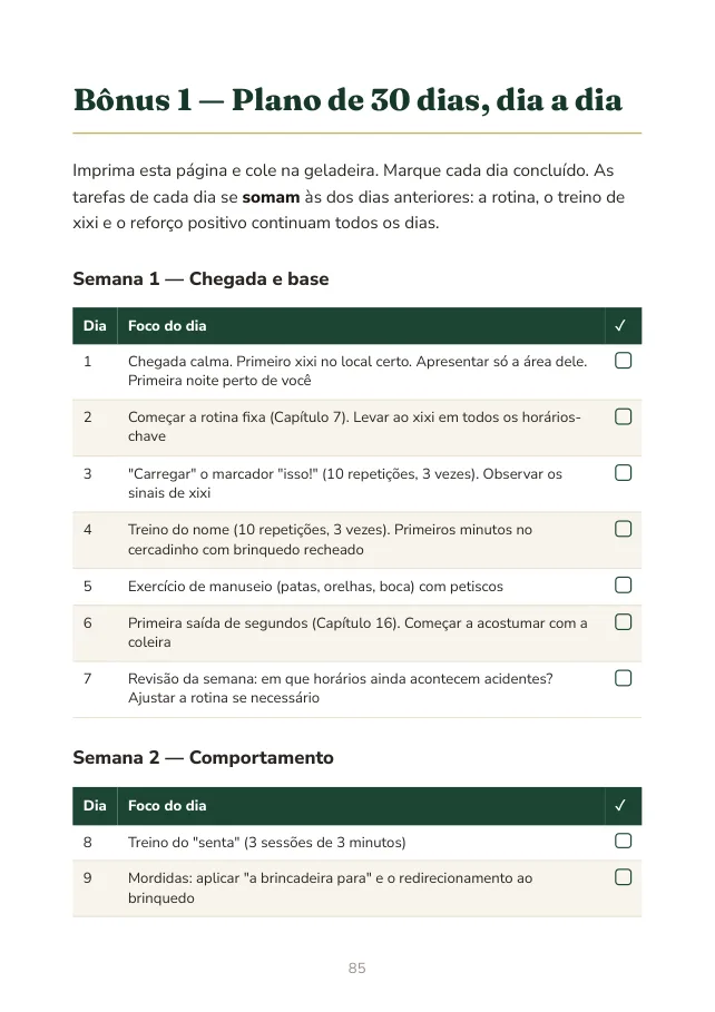Página do plano de 30 dias para imprimir
